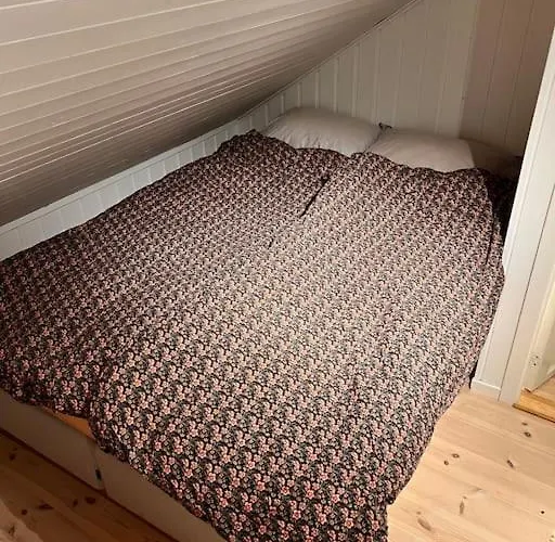 Casa vacanze Tromso's Location? & Nature 5 Mins Away.